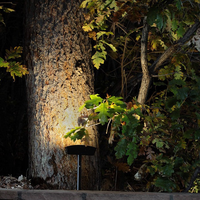 Radiance Directional Landscape Light