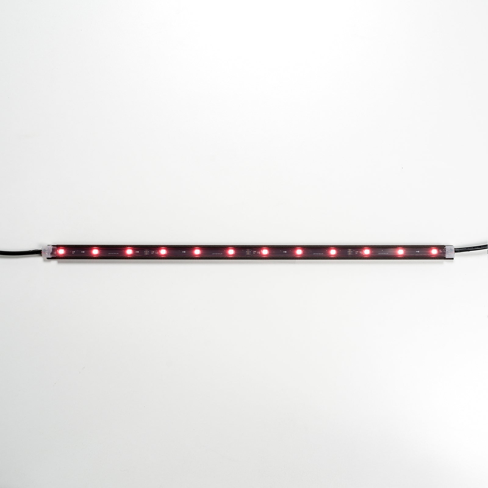 RGBW Infinite LED Lite