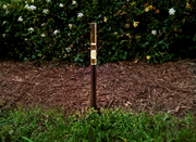 Lucentis Pathway Light