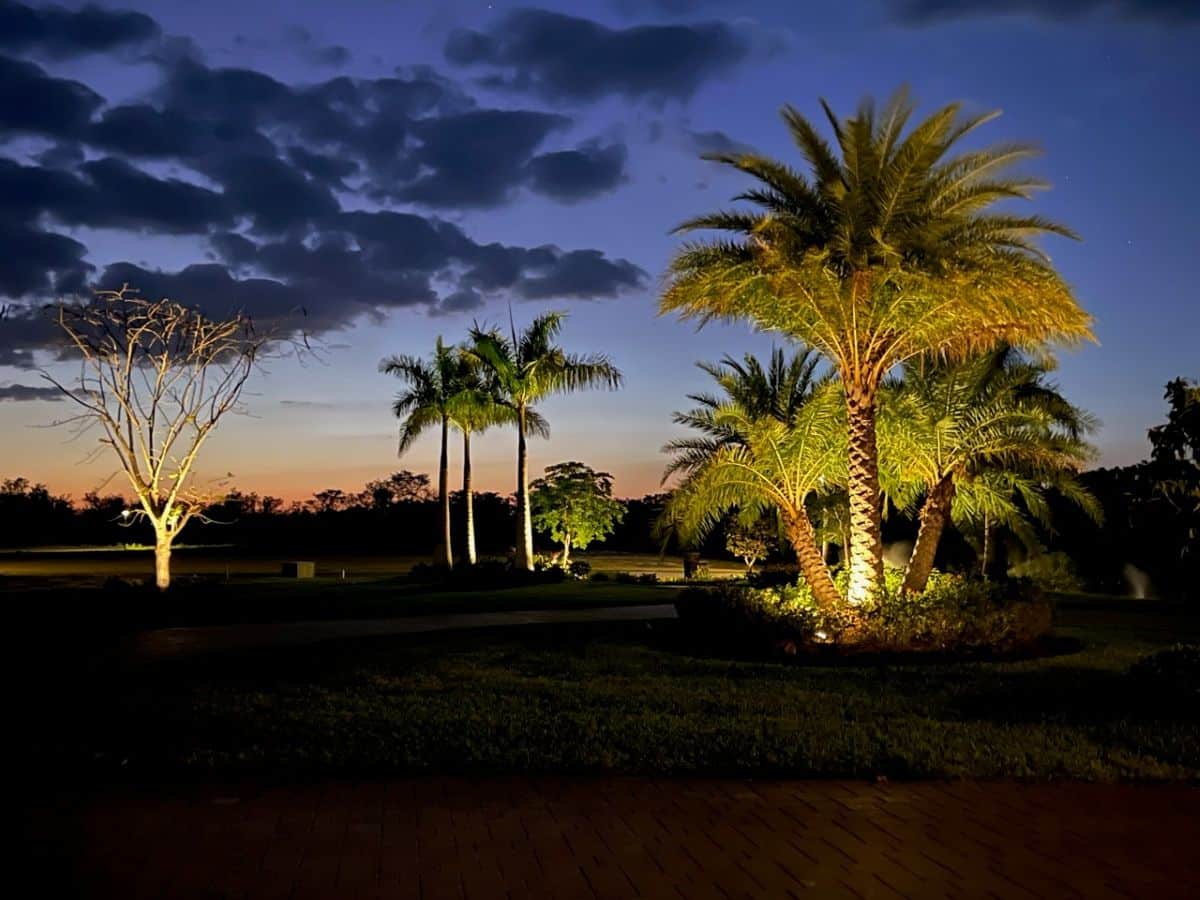 Tree Gang Fixture Landscape Spotlight