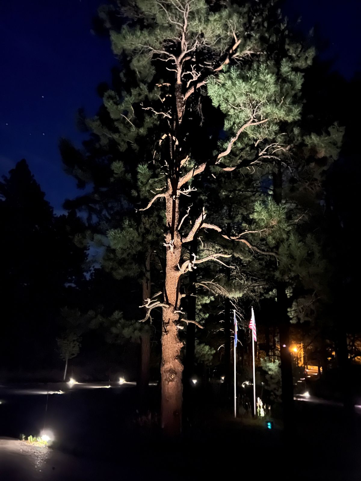 High Output LED Landscape Spotlight