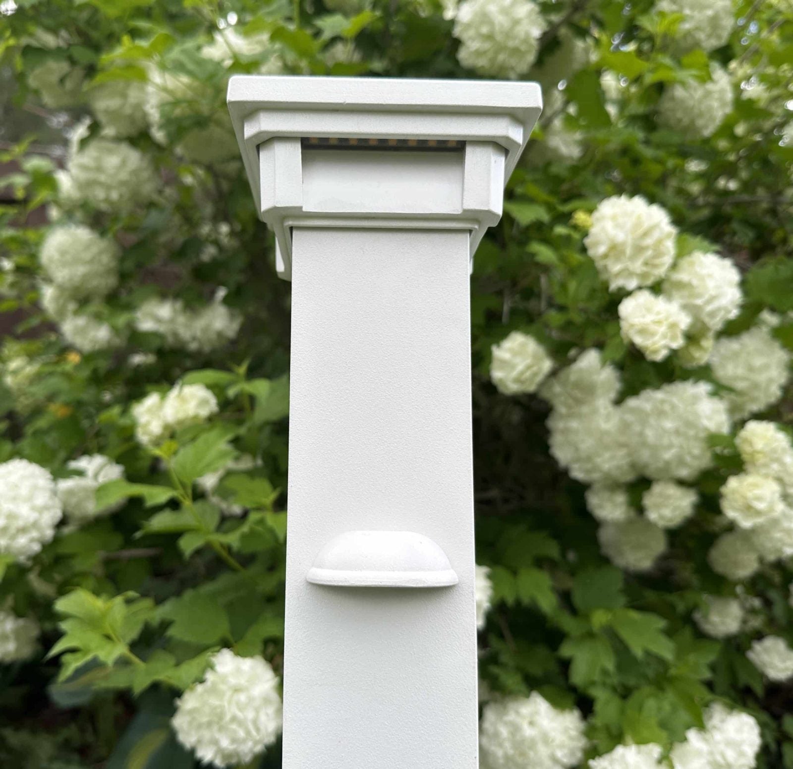 Universal LED Mini Shelly Light