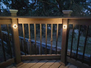 Sapphire Rail Light