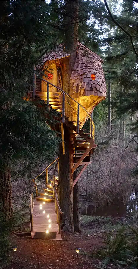 DEKOR® Lighting