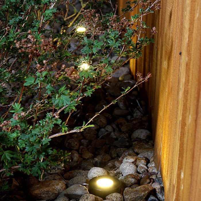 Well LED Light with Spike