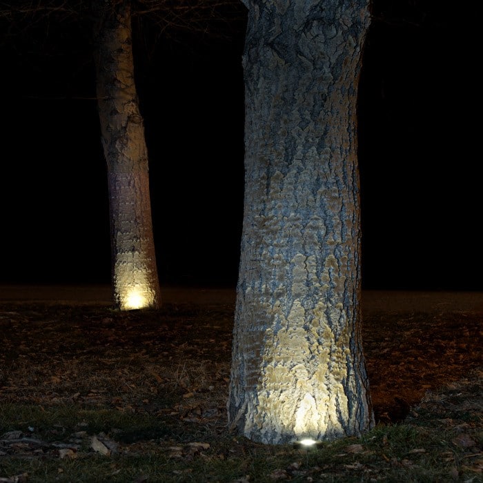 Well LED Light with Spike