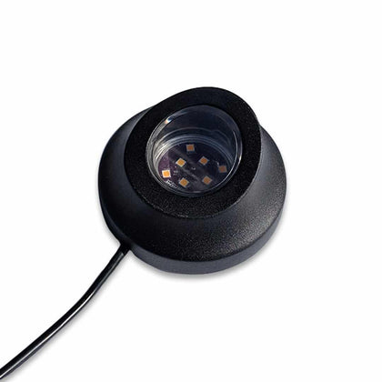 Well LED Light with Spike