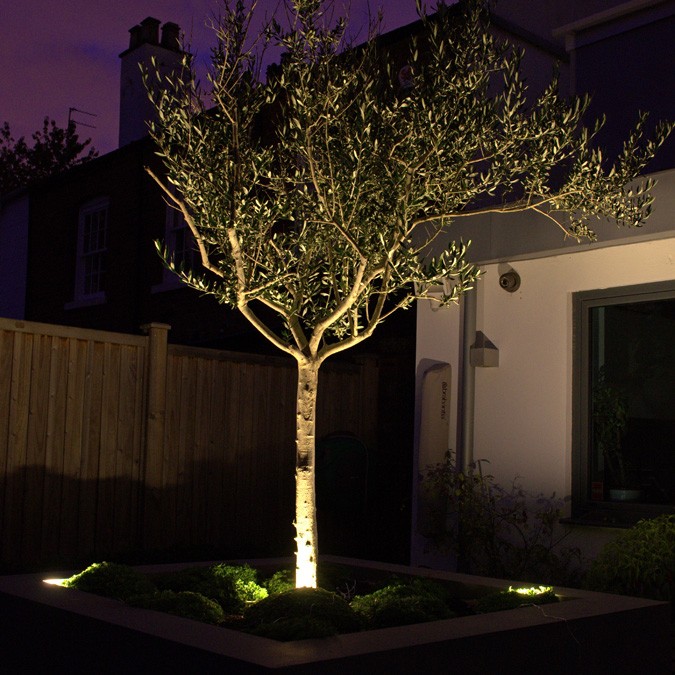 Outdoor Led Puck Light Uplight For, How To Light Landscape Trees