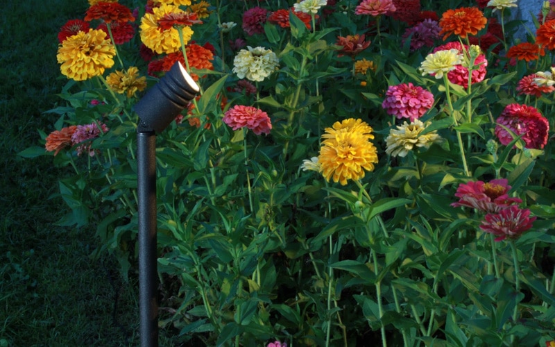 DEKOR® High Output LED Landscape Spotlight shining on flowers