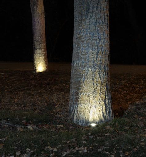 Uplight Lighting