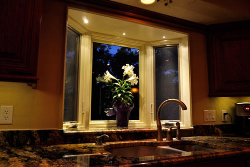 Use our LED Down lights to accent a bay window